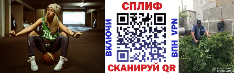 Купить закладку Кокаин  Каннабис  Бутират  APVP  ГАШИШ  Меф мяу мяу  Дальнегорск