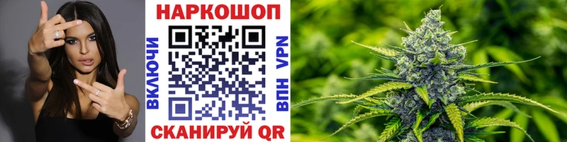 ГАШ Дальнегорск