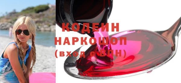 трава Инта